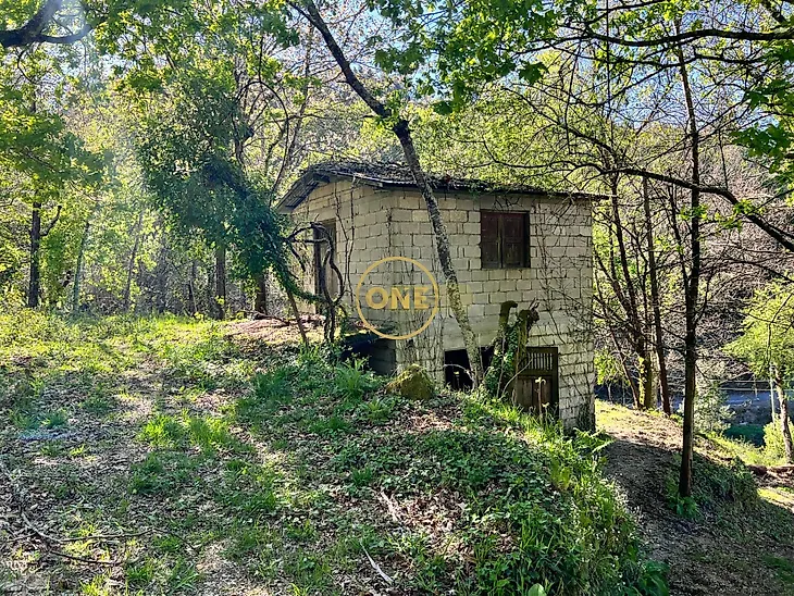main-listing-picture-0