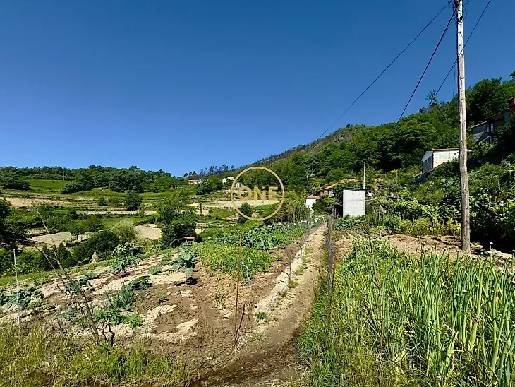 main-listing-picture-0