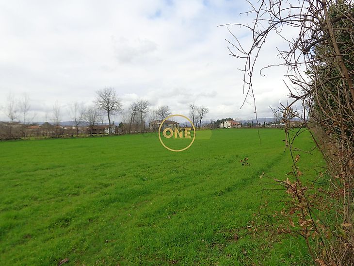 main-listing-picture-0