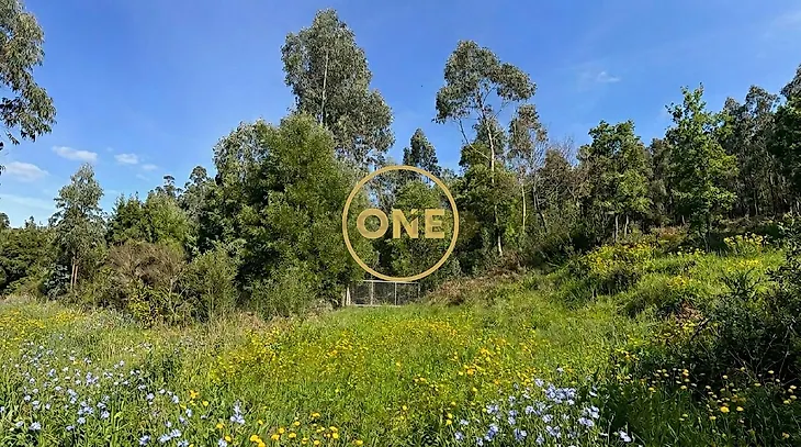 main-listing-picture-0