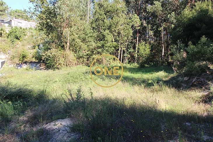 main-listing-picture-0