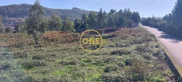 main-listing-picture-0