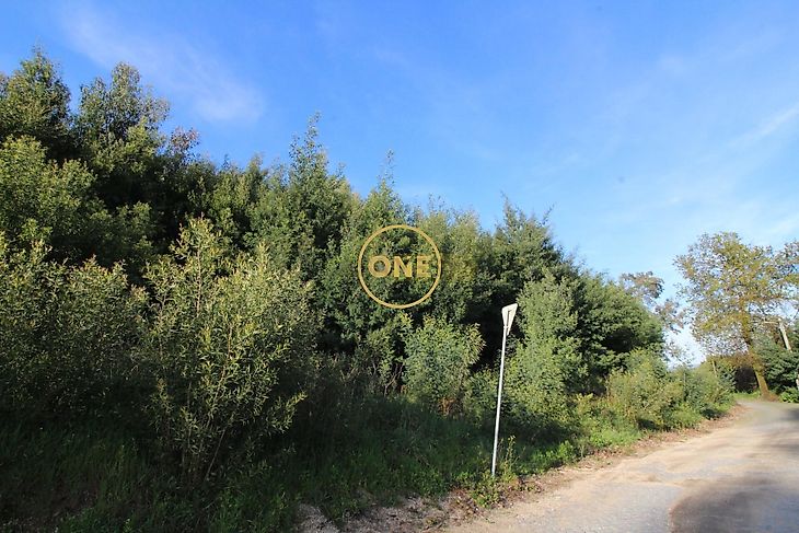 main-listing-picture-0