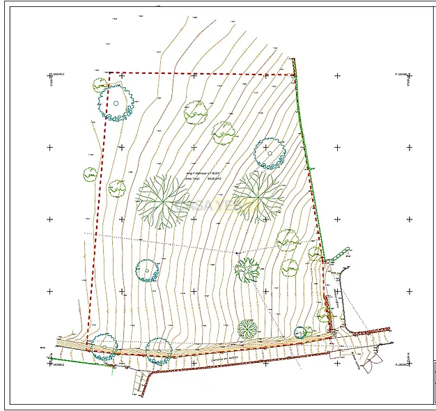 main-listing-picture-0