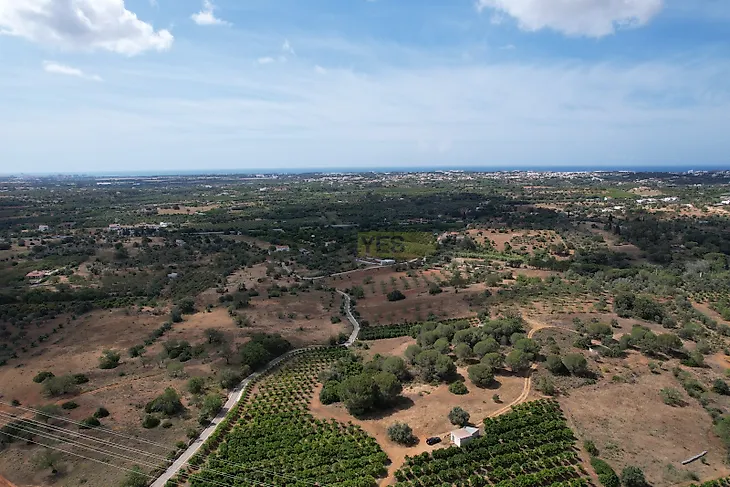 main-listing-picture-0