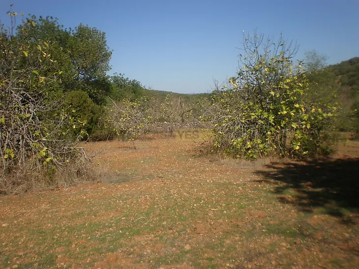 main-listing-picture-0