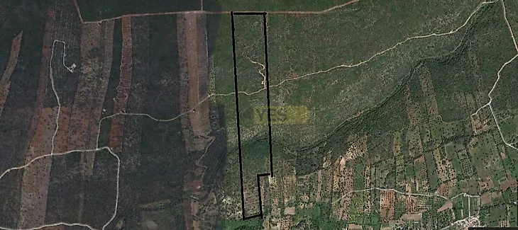 main-listing-picture-0