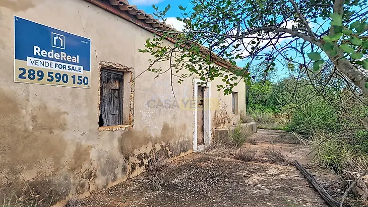 main-listing-picture-0