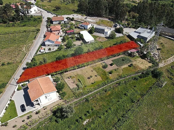main-listing-picture-0