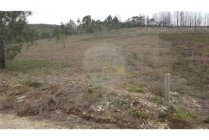 main-listing-picture-0