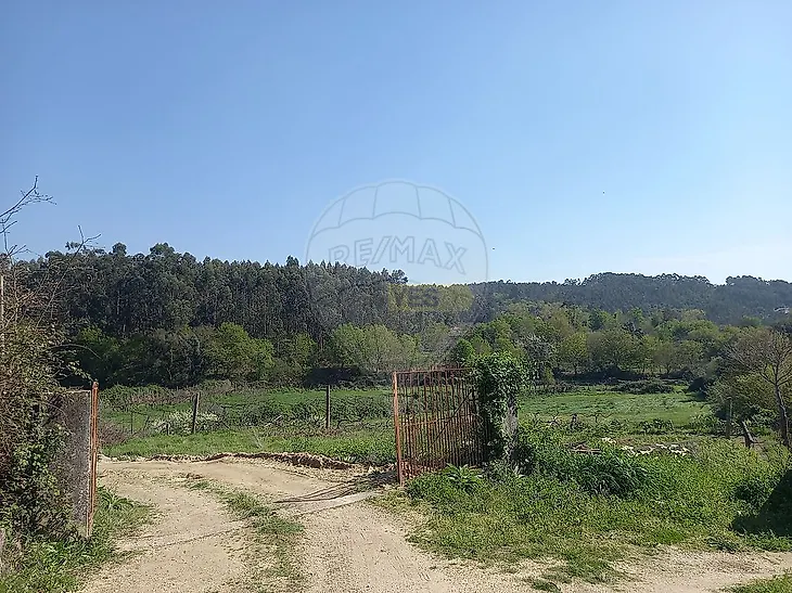 main-listing-picture-0