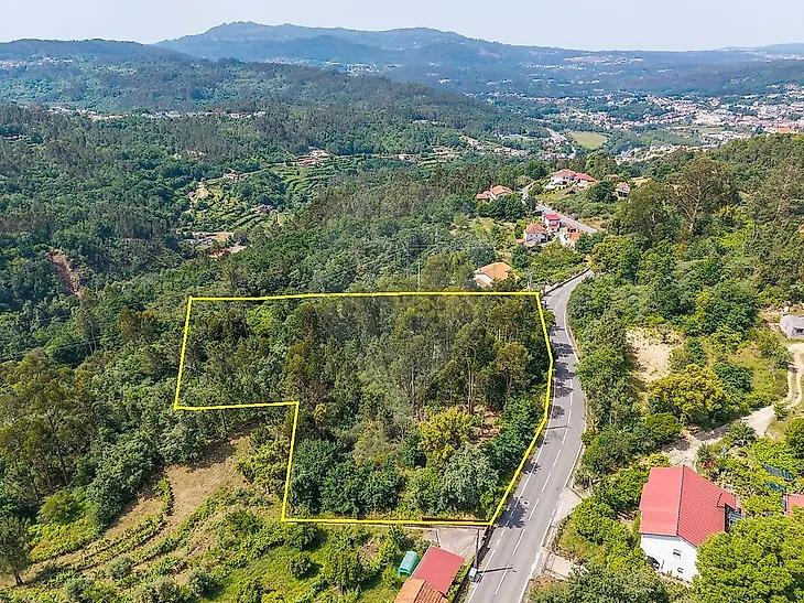 main-listing-picture-0