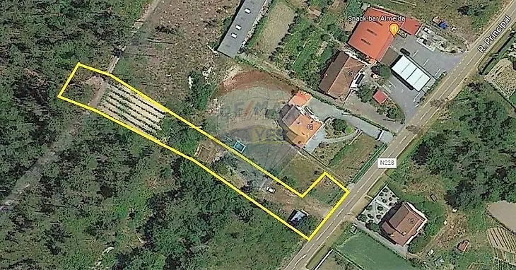 main-listing-picture-0