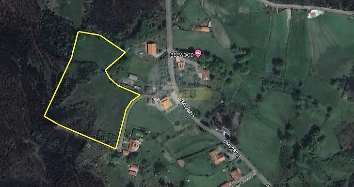 main-listing-picture-0