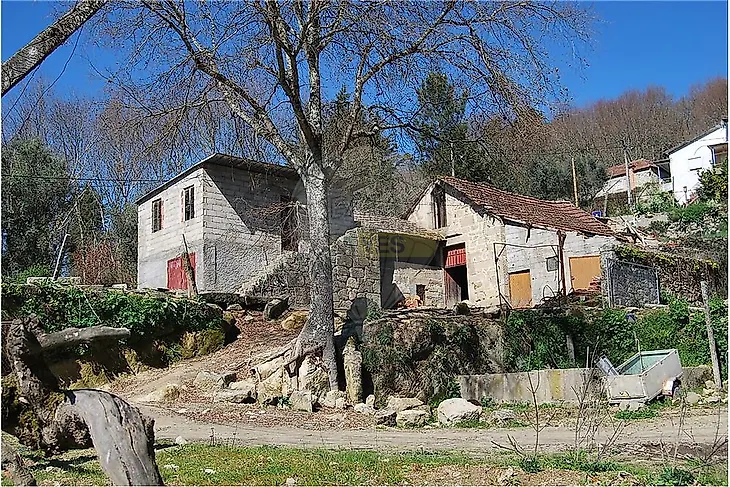 main-listing-picture-0