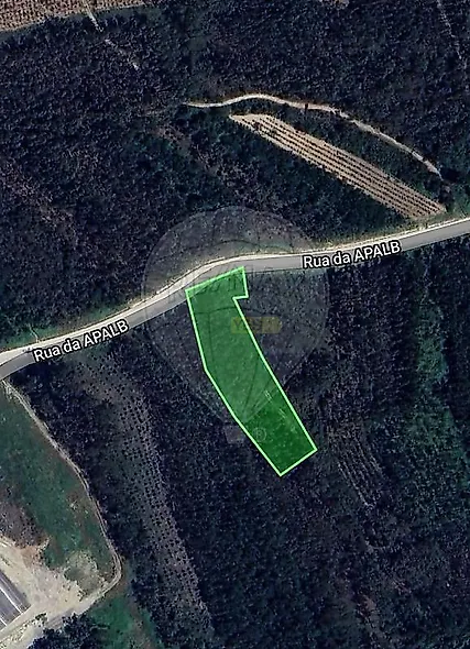 main-listing-picture-0