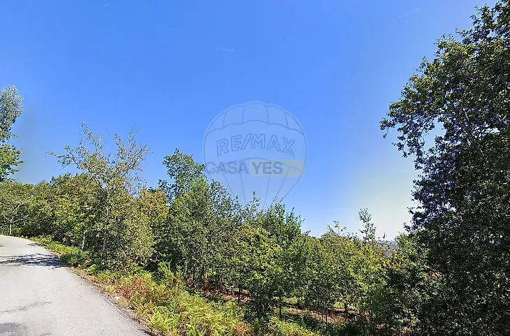 main-listing-picture-0