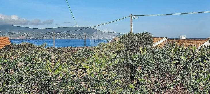 main-listing-picture-0