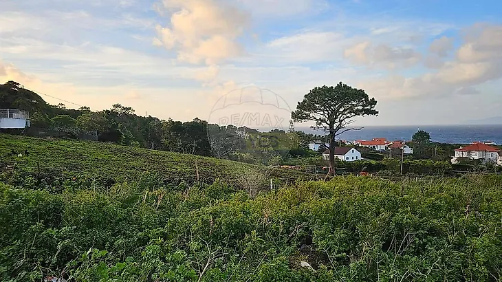 main-listing-picture-0