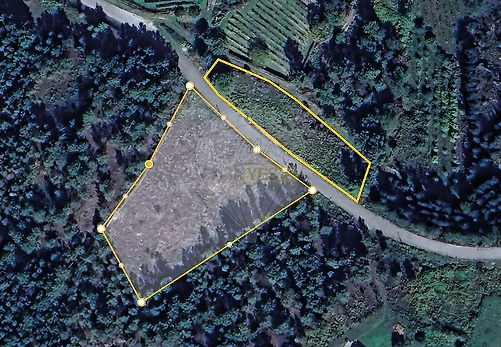 main-listing-picture-0