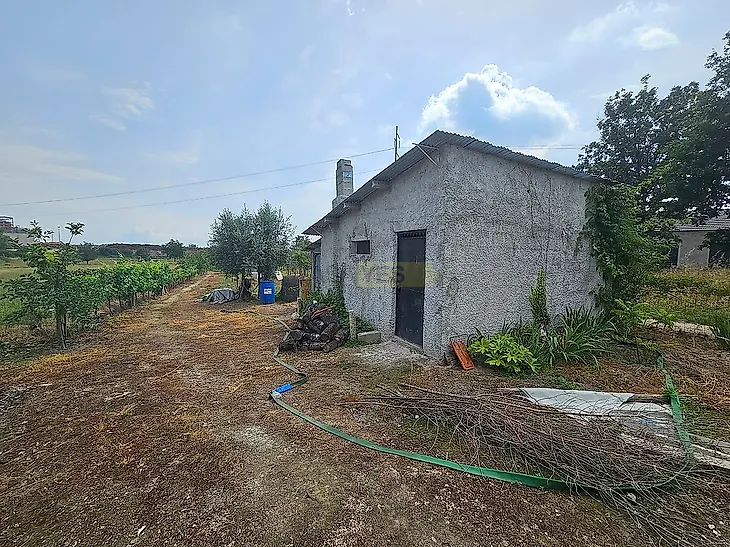 main-listing-picture-0