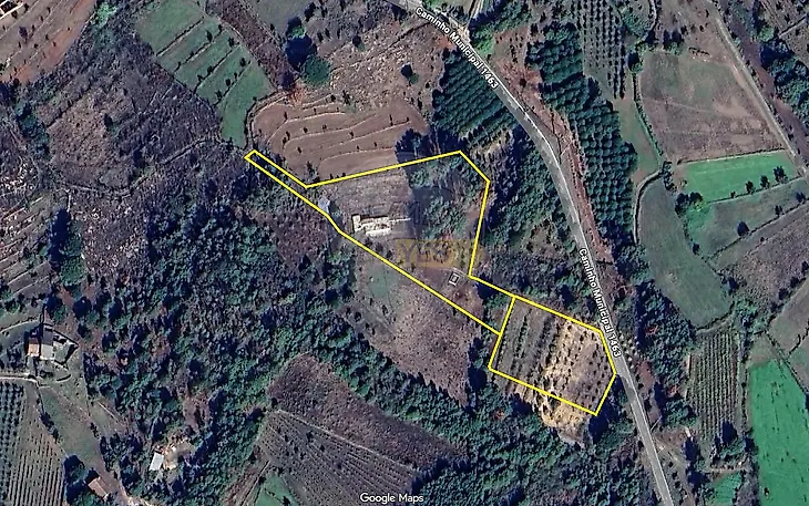 main-listing-picture-0