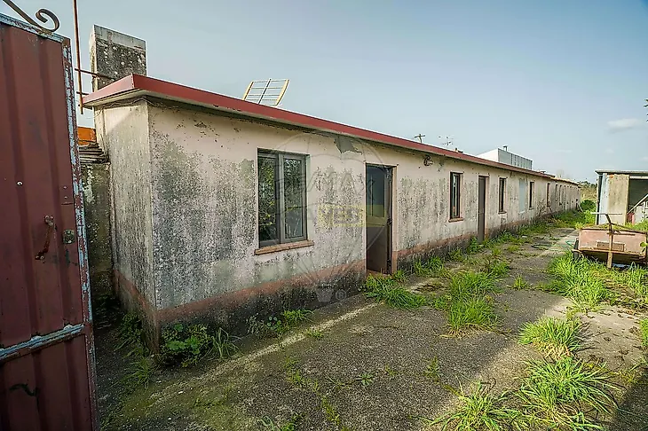 main-listing-picture-0