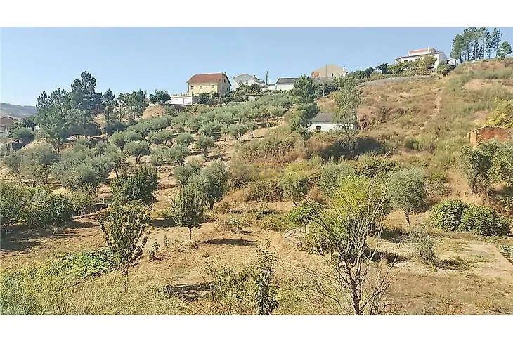 main-listing-picture-0