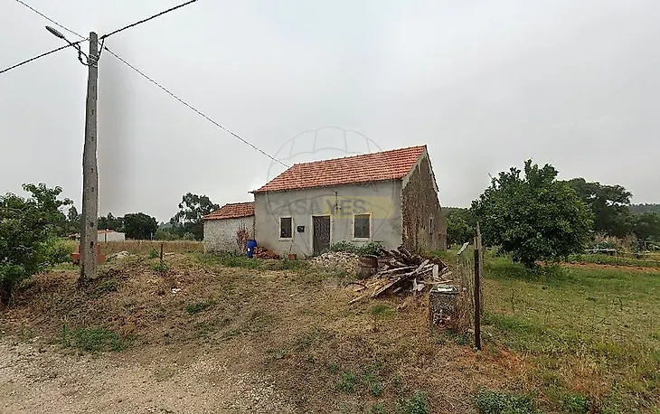 main-listing-picture-0