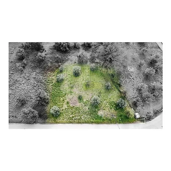 main-listing-picture-0