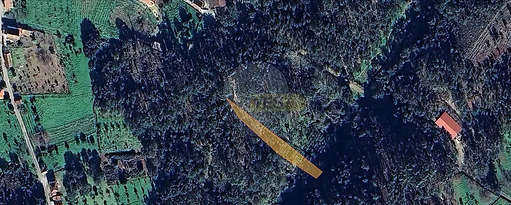 main-listing-picture-0