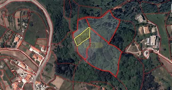 main-listing-picture-0