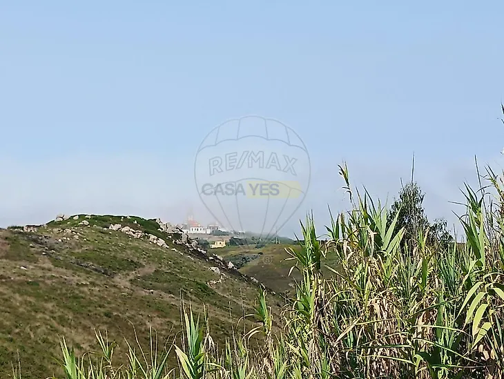 main-listing-picture-0
