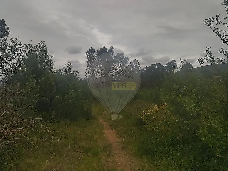 main-listing-picture-0