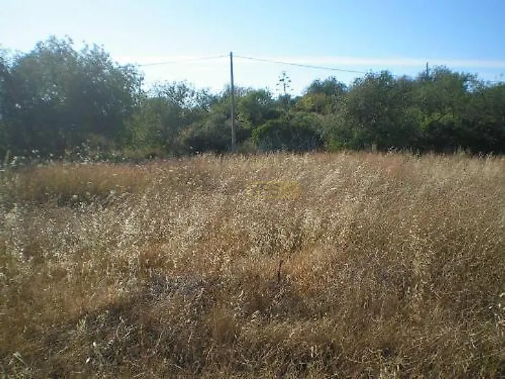 main-listing-picture-0