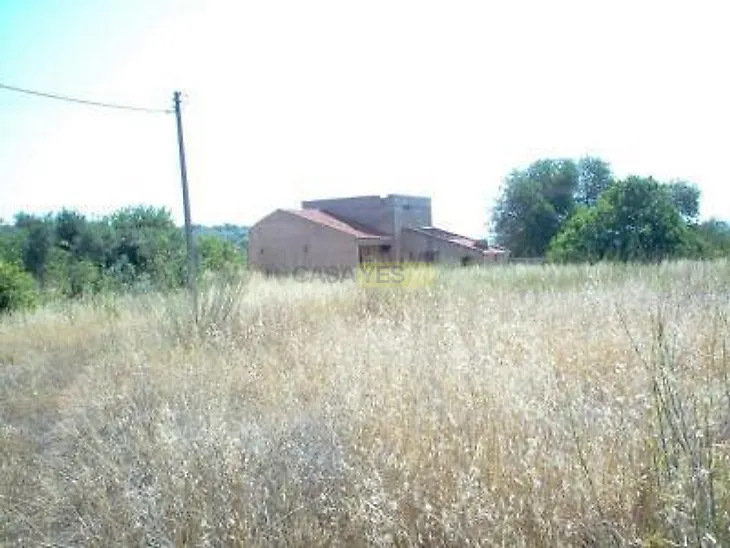 main-listing-picture-0