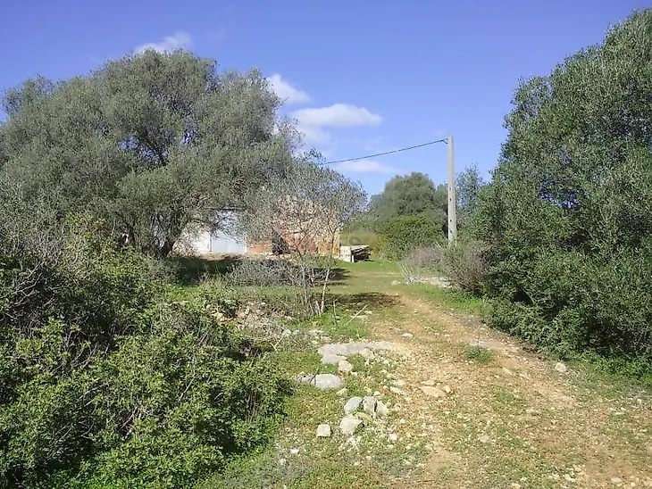 main-listing-picture-0