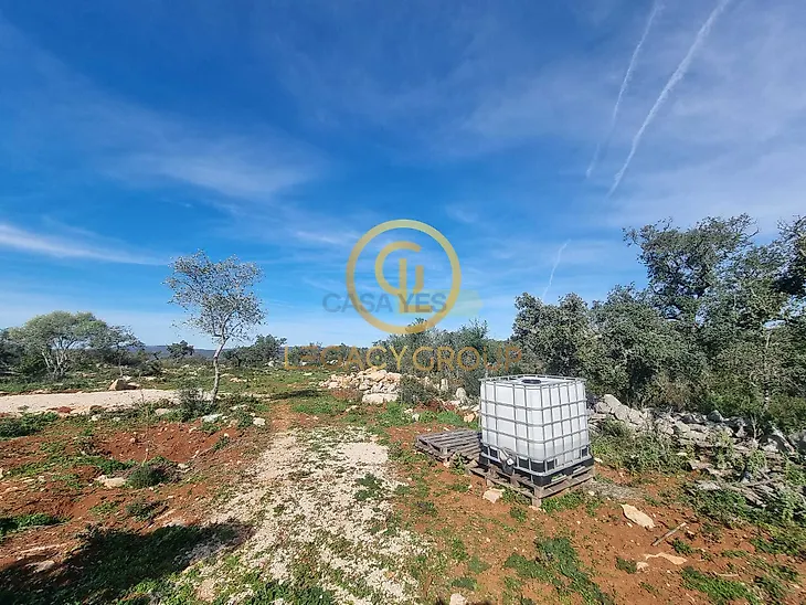 main-listing-picture-0