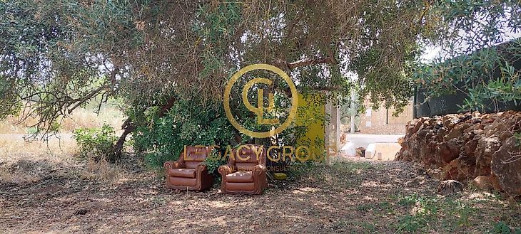 main-listing-picture-0