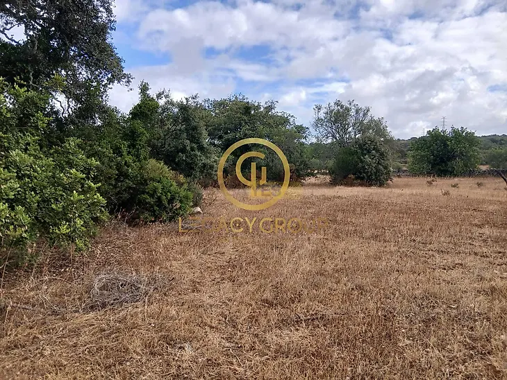 main-listing-picture-0