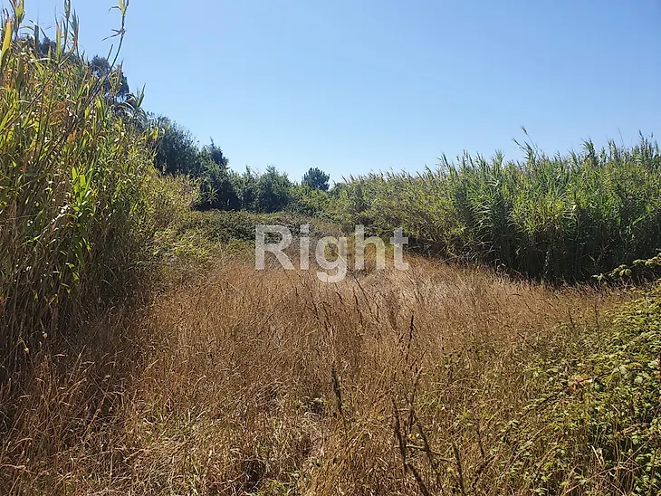main-listing-picture-0