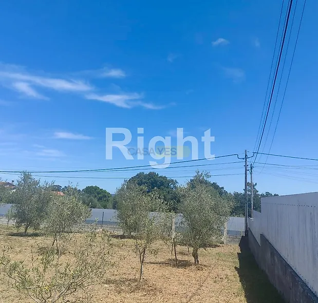 main-listing-picture-0