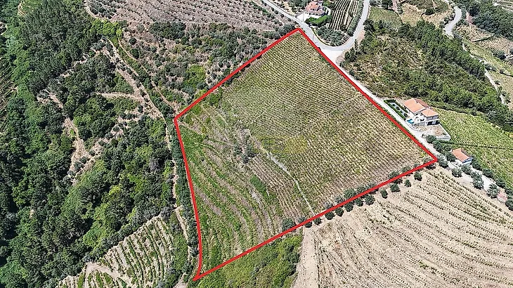 main-listing-picture-0