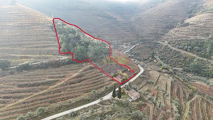 main-listing-picture-0