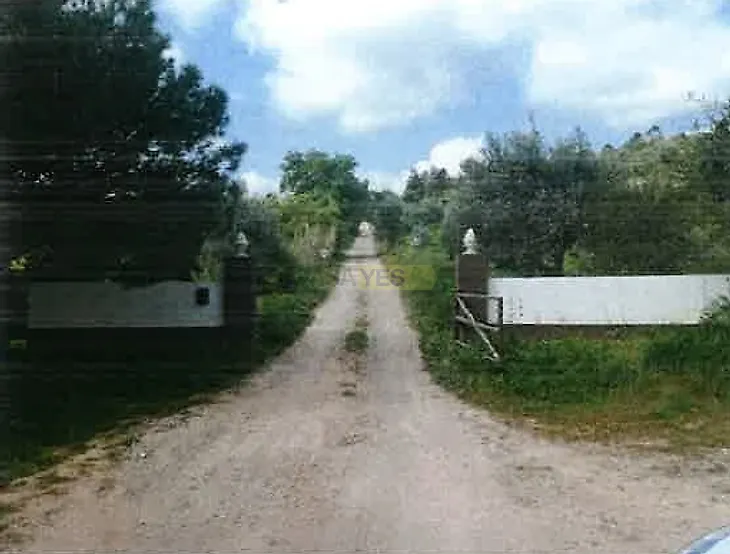 main-listing-picture-0