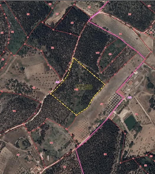 main-listing-picture-0