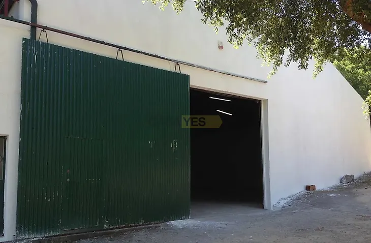 main-listing-picture-0