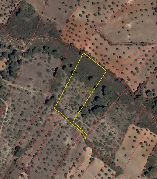 main-listing-picture-0