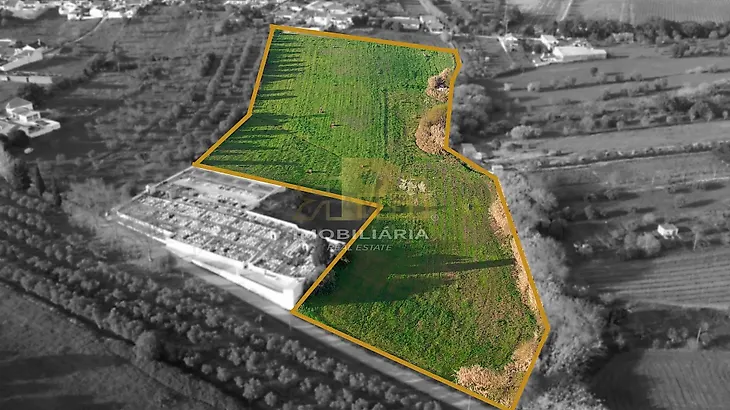 main-listing-picture-0