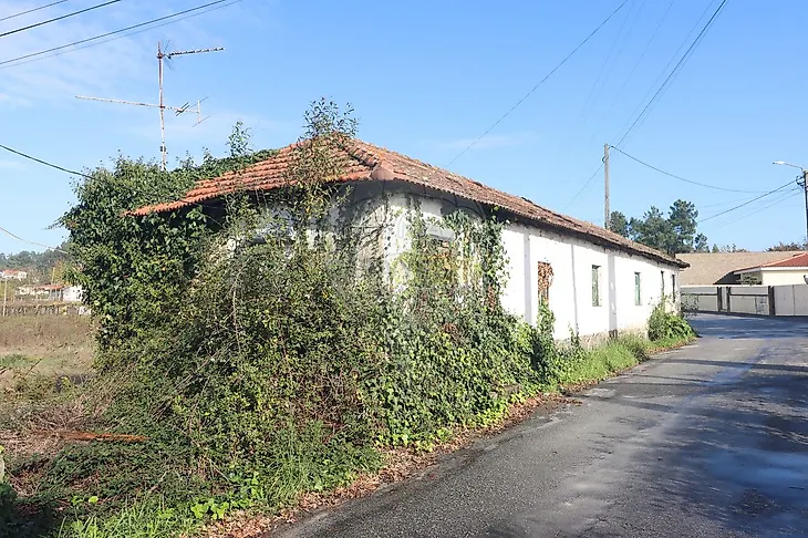 main-listing-picture-0